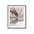 Picture of Elk in the Wild _GroupedProduct_Rectangle_Portrait_Photography _GroupedProduct_Rectangle_Portrait_Framed_Matted_