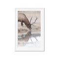 Picture of Elk in the Wild _GroupedProduct_Rectangle_Portrait_Photography _GroupedProduct_Rectangle_Portrait_Framed_Matted_