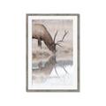 Picture of Elk in the Wild _GroupedProduct_Rectangle_Portrait_Photography _GroupedProduct_Rectangle_Portrait_Framed_Matted_