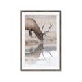Picture of Elk in the Wild _GroupedProduct_Rectangle_Portrait_Photography _GroupedProduct_Rectangle_Portrait_Framed_Matted_
