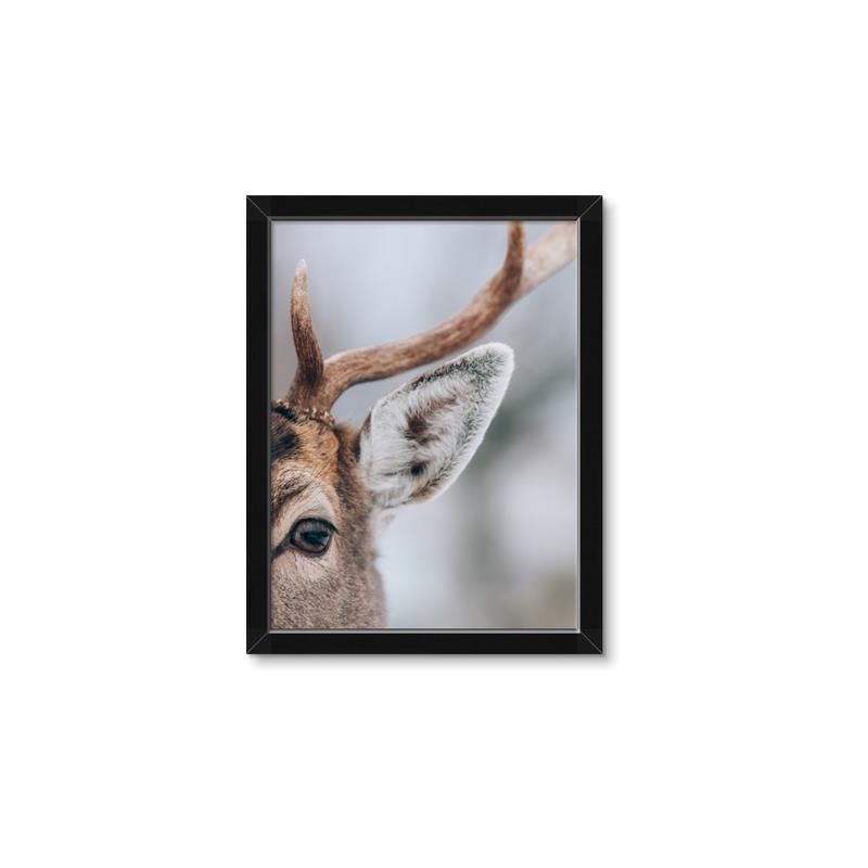 Picture of Eye of the Deer _GroupedProduct_Rectangle_Portrait_Photography _GroupedProduct_Rectangle_Portrait_Framed_Matted_