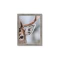 Picture of Eye of the Deer _GroupedProduct_Rectangle_Portrait_Photography _GroupedProduct_Rectangle_Portrait_Framed_Matted_