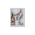 Picture of Eye of the Deer _GroupedProduct_Rectangle_Portrait_Photography _GroupedProduct_Rectangle_Portrait_Framed_Matted_