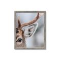 Picture of Eye of the Deer _GroupedProduct_Rectangle_Portrait_Photography _GroupedProduct_Rectangle_Portrait_Framed_Matted_