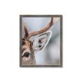 Picture of Eye of the Deer _GroupedProduct_Rectangle_Portrait_Photography _GroupedProduct_Rectangle_Portrait_Framed_Matted_