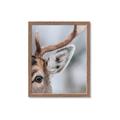 Picture of Eye of the Deer _GroupedProduct_Rectangle_Portrait_Photography _GroupedProduct_Rectangle_Portrait_Framed_Matted_