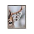 Picture of Eye of the Deer _GroupedProduct_Rectangle_Portrait_Photography _GroupedProduct_Rectangle_Portrait_Framed_Matted_