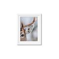 Picture of Eye of the Deer _GroupedProduct_Rectangle_Portrait_Photography _GroupedProduct_Rectangle_Portrait_Framed_Matted_