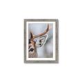 Picture of Eye of the Deer _GroupedProduct_Rectangle_Portrait_Photography _GroupedProduct_Rectangle_Portrait_Framed_Matted_