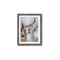 Picture of Eye of the Deer _GroupedProduct_Rectangle_Portrait_Photography _GroupedProduct_Rectangle_Portrait_Framed_Matted_
