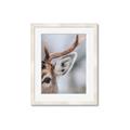 Picture of Eye of the Deer _GroupedProduct_Rectangle_Portrait_Photography _GroupedProduct_Rectangle_Portrait_Framed_Matted_
