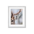 Picture of Eye of the Deer _GroupedProduct_Rectangle_Portrait_Photography _GroupedProduct_Rectangle_Portrait_Framed_Matted_