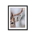 Picture of Eye of the Deer _GroupedProduct_Rectangle_Portrait_Photography _GroupedProduct_Rectangle_Portrait_Framed_Matted_