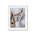Picture of Eye of the Deer _GroupedProduct_Rectangle_Portrait_Photography _GroupedProduct_Rectangle_Portrait_Framed_Matted_