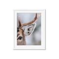 Picture of Eye of the Deer _GroupedProduct_Rectangle_Portrait_Photography _GroupedProduct_Rectangle_Portrait_Framed_Matted_