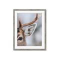 Picture of Eye of the Deer _GroupedProduct_Rectangle_Portrait_Photography _GroupedProduct_Rectangle_Portrait_Framed_Matted_