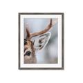 Picture of Eye of the Deer _GroupedProduct_Rectangle_Portrait_Photography _GroupedProduct_Rectangle_Portrait_Framed_Matted_