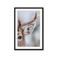 Picture of Eye of the Deer _GroupedProduct_Rectangle_Portrait_Photography _GroupedProduct_Rectangle_Portrait_Framed_Matted_