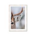 Picture of Eye of the Deer _GroupedProduct_Rectangle_Portrait_Photography _GroupedProduct_Rectangle_Portrait_Framed_Matted_