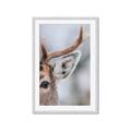 Picture of Eye of the Deer _GroupedProduct_Rectangle_Portrait_Photography _GroupedProduct_Rectangle_Portrait_Framed_Matted_