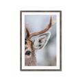 Picture of Eye of the Deer _GroupedProduct_Rectangle_Portrait_Photography _GroupedProduct_Rectangle_Portrait_Framed_Matted_
