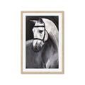 Picture of Soft Horse _GroupedProduct_Rectangle_Portrait_Framed_Matted_