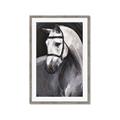 Picture of Soft Horse _GroupedProduct_Rectangle_Portrait_Framed_Matted_