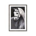 Picture of Soft Horse _GroupedProduct_Rectangle_Portrait_Framed_Matted_