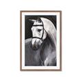 Picture of Soft Horse _GroupedProduct_Rectangle_Portrait_Framed_Matted_