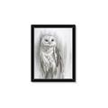 Picture of Living Owl _GroupedProduct_Rectangle_Portrait_Framed_Matted_