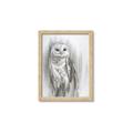 Picture of Living Owl _GroupedProduct_Rectangle_Portrait_Framed_Matted_