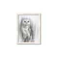 Picture of Living Owl _GroupedProduct_Rectangle_Portrait_Framed_Matted_