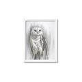 Picture of Living Owl _GroupedProduct_Rectangle_Portrait_Framed_Matted_