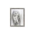 Picture of Living Owl _GroupedProduct_Rectangle_Portrait_Framed_Matted_