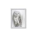 Picture of Living Owl _GroupedProduct_Rectangle_Portrait_Framed_Matted_