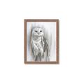 Picture of Living Owl _GroupedProduct_Rectangle_Portrait_Framed_Matted_