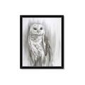 Picture of Living Owl _GroupedProduct_Rectangle_Portrait_Framed_Matted_