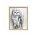Picture of Living Owl _GroupedProduct_Rectangle_Portrait_Framed_Matted_
