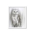 Picture of Living Owl _GroupedProduct_Rectangle_Portrait_Framed_Matted_