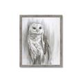 Picture of Living Owl _GroupedProduct_Rectangle_Portrait_Framed_Matted_