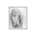 Picture of Living Owl _GroupedProduct_Rectangle_Portrait_Framed_Matted_