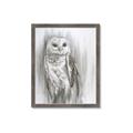 Picture of Living Owl _GroupedProduct_Rectangle_Portrait_Framed_Matted_