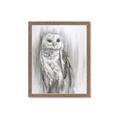 Picture of Living Owl _GroupedProduct_Rectangle_Portrait_Framed_Matted_