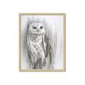 Picture of Living Owl _GroupedProduct_Rectangle_Portrait_Framed_Matted_
