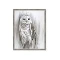 Picture of Living Owl _GroupedProduct_Rectangle_Portrait_Framed_Matted_
