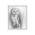 Picture of Living Owl _GroupedProduct_Rectangle_Portrait_Framed_Matted_