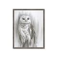 Picture of Living Owl _GroupedProduct_Rectangle_Portrait_Framed_Matted_
