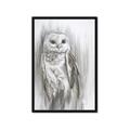 Picture of Living Owl _GroupedProduct_Rectangle_Portrait_Framed_Matted_