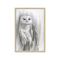Picture of Living Owl _GroupedProduct_Rectangle_Portrait_Framed_Matted_