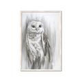 Picture of Living Owl _GroupedProduct_Rectangle_Portrait_Framed_Matted_
